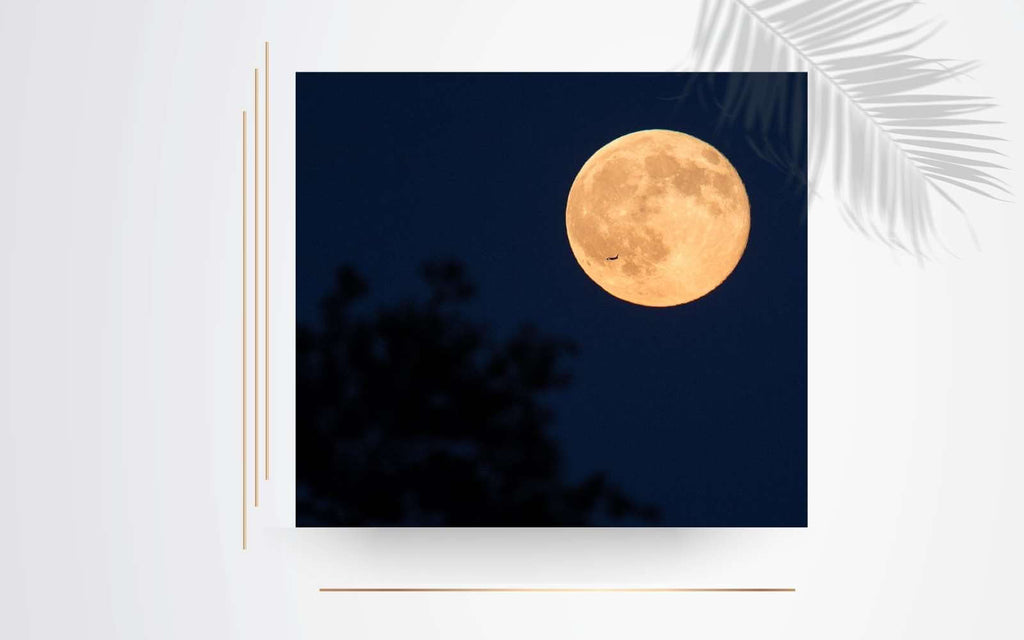 Charge your Crystals in the Full Moon